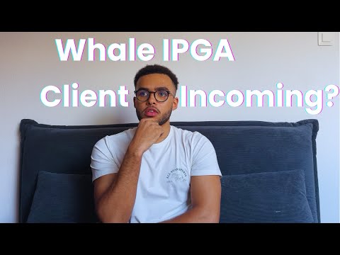 Whale IPGA Client Incoming?  I Build in Public Ep. 2 [Video]