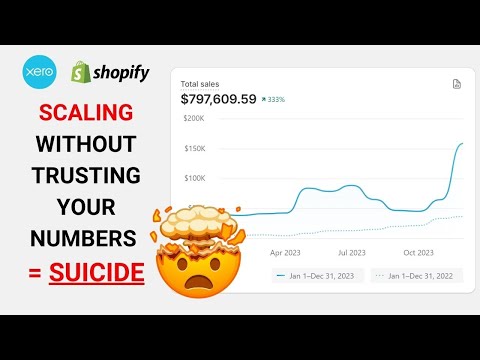 My Ecommerce accountant for 7 to 8 figure Shopify stores REVEALED - SCALE your store with confidence [Video]