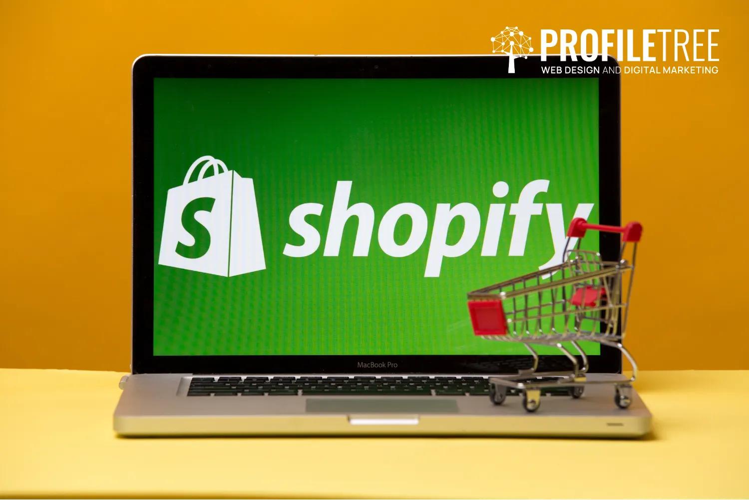 What Is Shopify and How to Use It to Expand Your Business [Video]