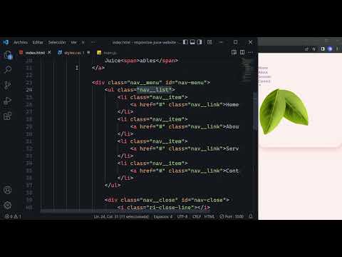 Responsive Juice Website Design Using HTML CSS & JavaScript [Video]