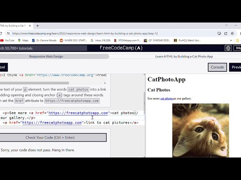 Free Code Camp Responsive Web Design/Learn HTML by Building a Cat Photo App/Part 16 [Video]