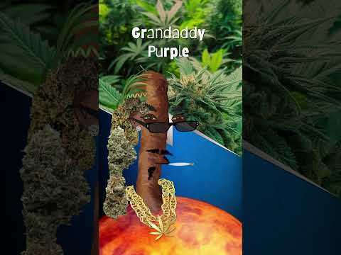 “#CannabisCulture: Sticky D’Blunt’s Guide to Social Media Success” [Video]