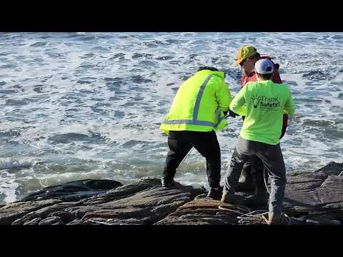 Herc 2024 NH Cleanup | Capture and video creation by SeasideNomad
