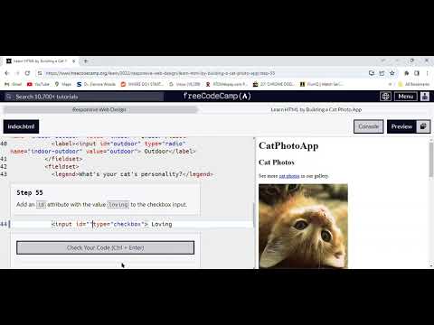 Free Code Camp Responsive Web Design/Learn HTML by Building a Cat Photo App/Part 55 [Video]