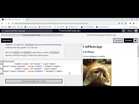 Free Code Camp Responsive Web Design/Learn HTML by Building a Cat Photo App/Part 50 [Video]