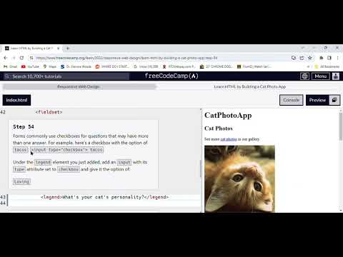 Free Code Camp Responsive Web Design/Learn HTML by Building a Cat Photo App/Part 53 [Video]
