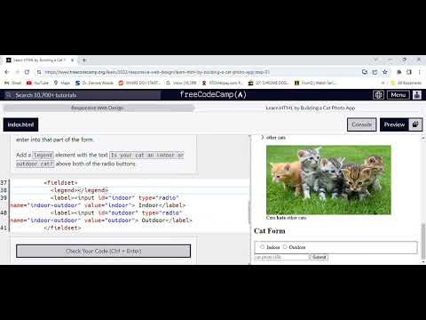 Free Code Camp Responsive Web Design/Learn HTML by Building a Cat Photo App/Part 51 [Video]