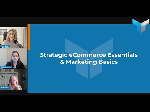 Workshop: Strategic eCommerce Essentials and Marketing Basics [Video]