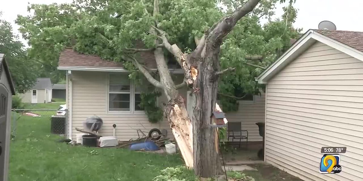 Tree removal services in Eastern Iowa say the damage from Mondays derecho is widespread. [Video]