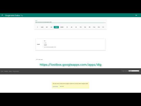 How to Set up and Connect your Custom Domain in LearnWorlds [Video]