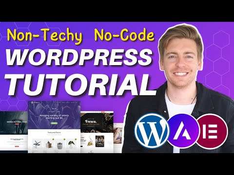 Astra WordPress Theme Tutorial | Build Your Own WordPress Website (For Beginners) [Video]