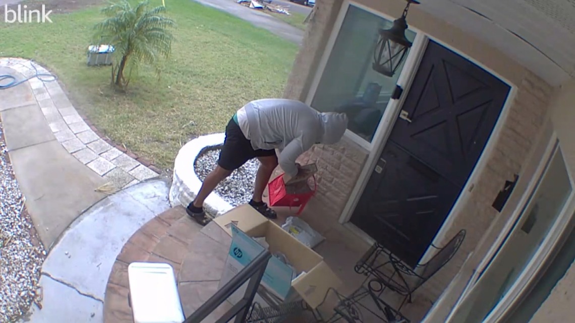 VIDEO: Porch pirate steals iPad from St. Pete home [Video]