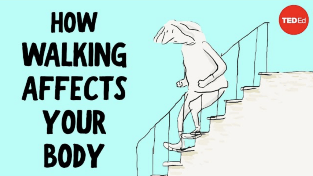 Do You Really Need to Take 10,000 Steps a Day? [Video]