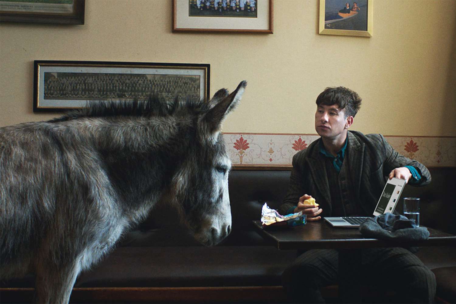 Barry Keoghan Bonds with a Donkey in Squarespace