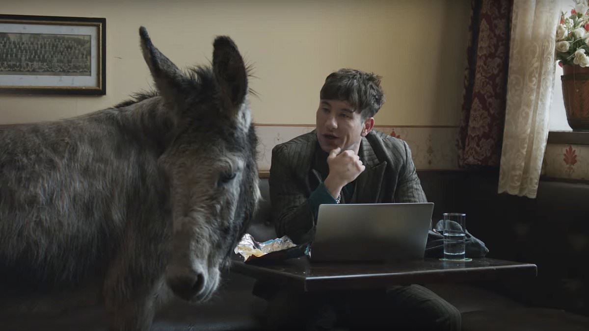 Barry Keoghan reunites with donkey from The Banshees Of Inisherin as he creates a website for him in hilarious Super Bowl ad [Video]